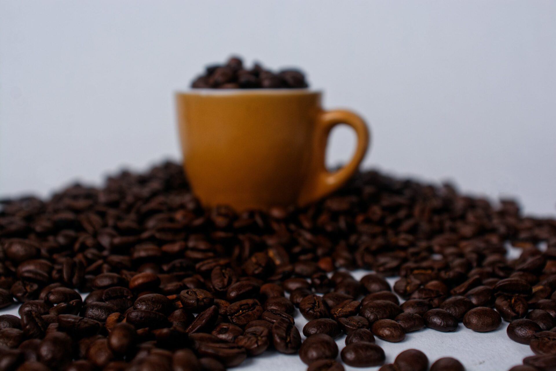 alem-da-cafeina-quais-as-substancias-em-um-grao-de-cafe